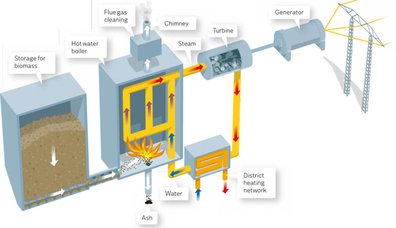 Biomass-Fired Power Plant Operation